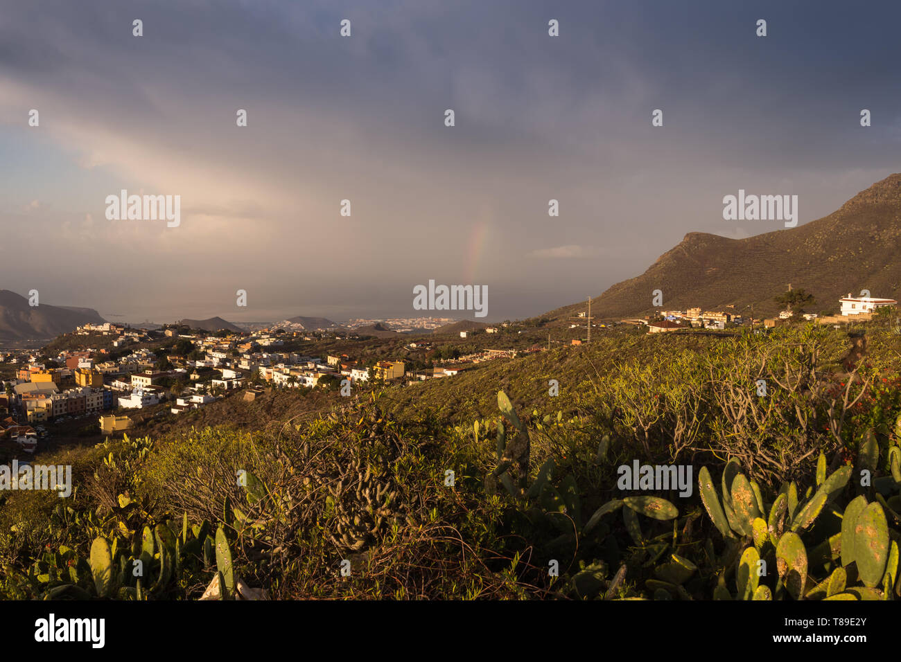 Luftaufnahme auf die Natur im Süden der Insel. Madow mit Vegetation und Opuntia Kakteen. Die Stadt und den Atlantik. Kleiner Teil des Regenbogens. C Stockfoto