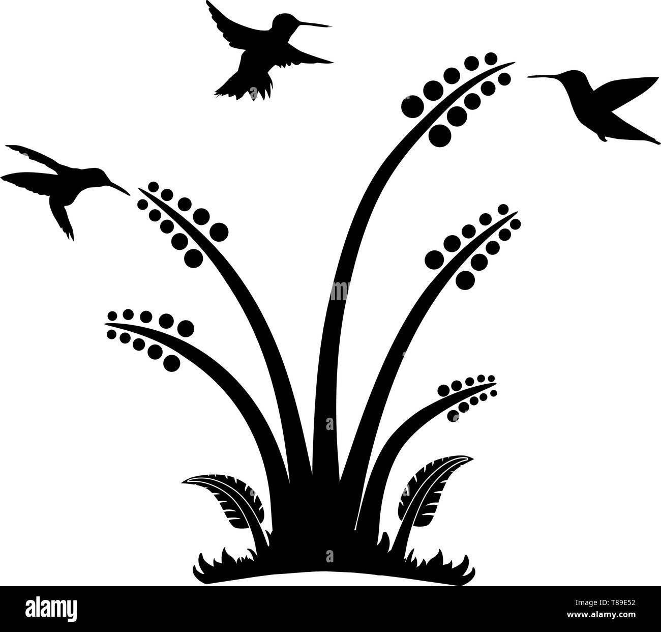 Hummingbird Tier Tapetensticker Wandtattoo Wandaufkleber Zweig Stock Vektor