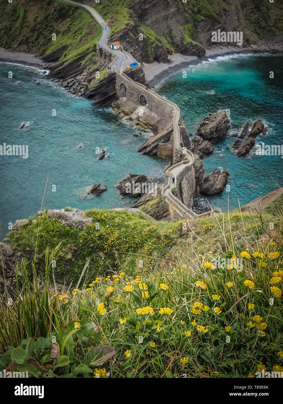 An der Küste von San Juan de Gaztelugatxe, Dragon-Stein im Spiel der Throne, die Brücke und die Steintreppe. Gelbe Blüten im Frühjahr und Sommer Stockfoto