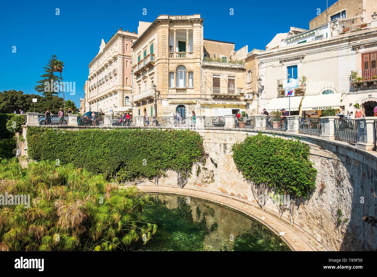 Italien, Sizilien, Syracuse, das historische Zentrum der Insel Ortigia, UNESCO-Weltkulturerbe, Brunnen der Arethusa Stockfoto