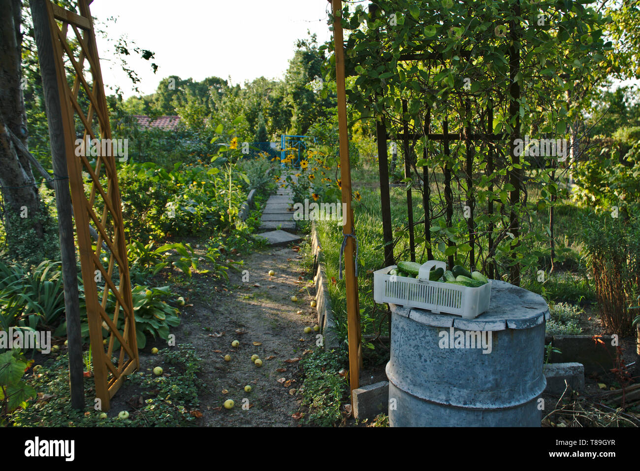 Die Geheimnisvollen Garten Stockfoto Bild 246073291 Alamy