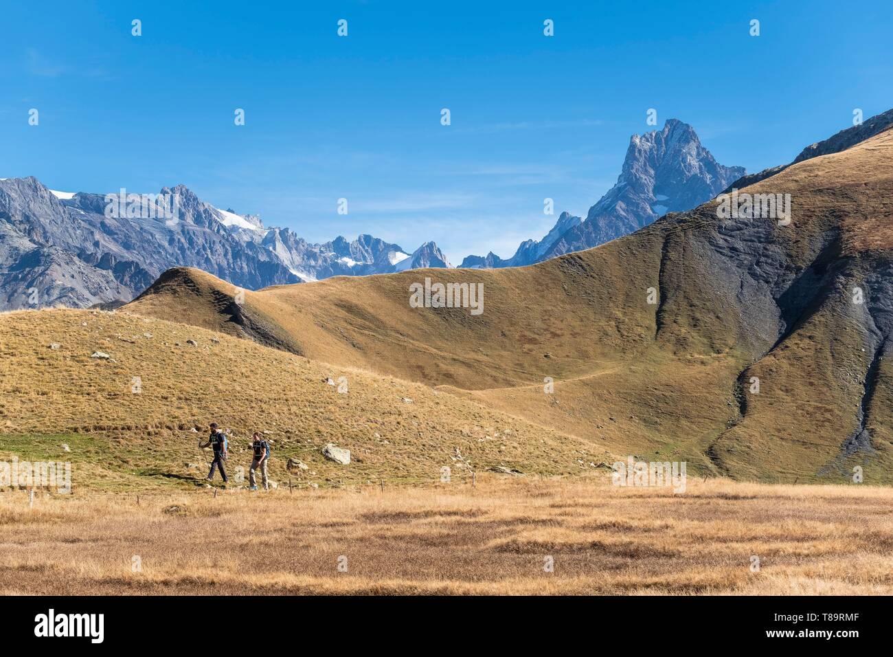Frankreich, Isère, Nationalpark Ecrins, veneon Tal, Wanderung zu Muzelle See auf dem GR54 Wanderweg Stockfoto