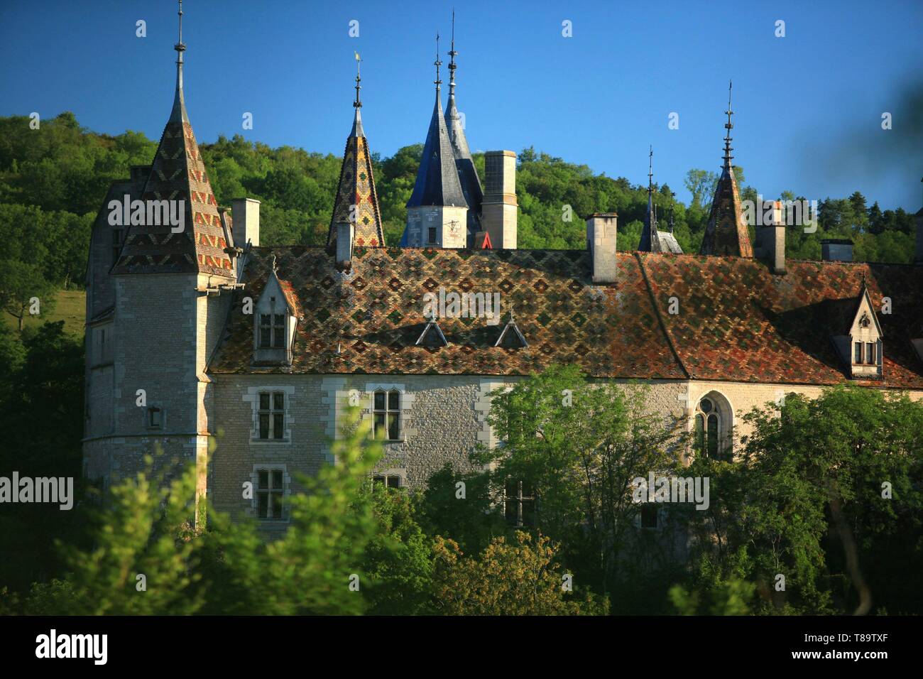 Frankreich, Cote d'Or, Kulturlandschaft von Klimazonen von Burgund als Weltkulturerbe von der UNESCO, Dijon, das Chateau de La Rochepot und die Verglasten Ziegeldächern aufgeführt Stockfoto