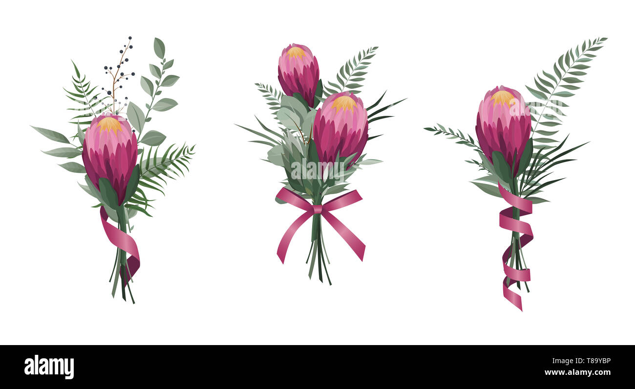 Blumen. Bunte, mit Blumenmustern Sammlung mit Blätter und Blüten. Protea Blumenstrauß Stockfoto