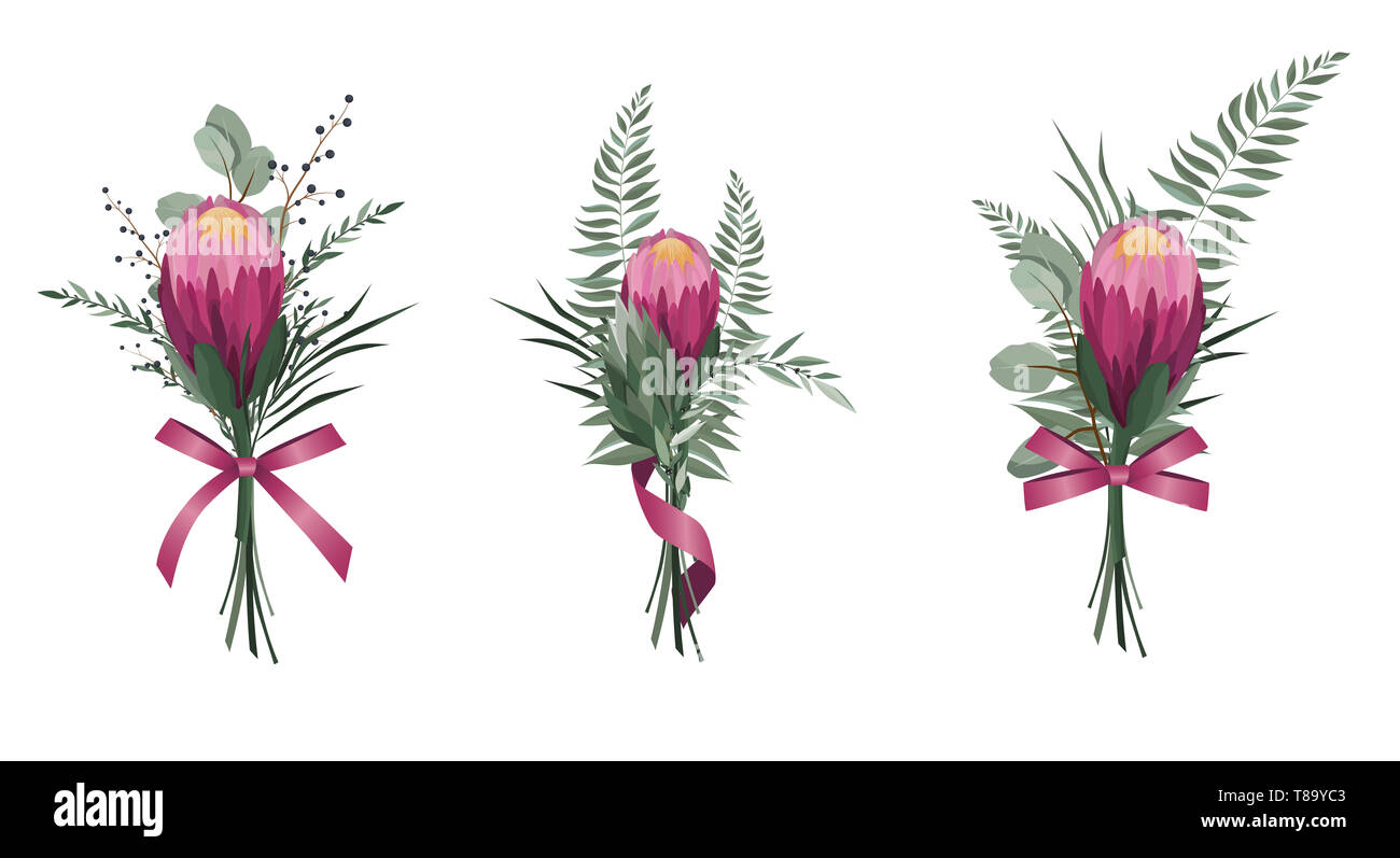 Blumen. Bunte, mit Blumenmustern Sammlung mit Blätter und Blüten. Protea Blumenstrauß Stockfoto