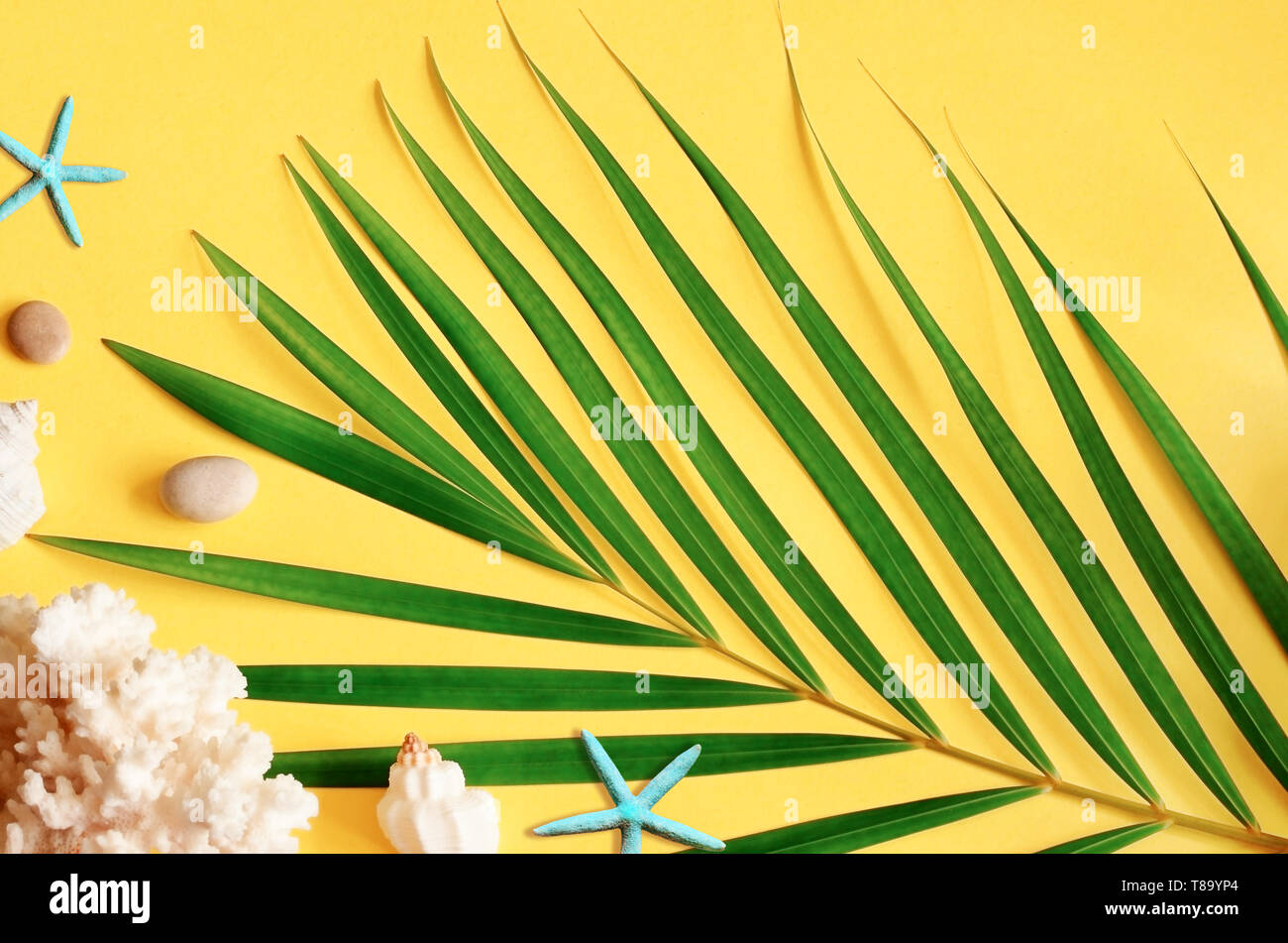 Sommer vibes. Tropische palm leaf, Muscheln und Seesterne. Flach, Ansicht von oben. Gelber Hintergrund Stockfoto