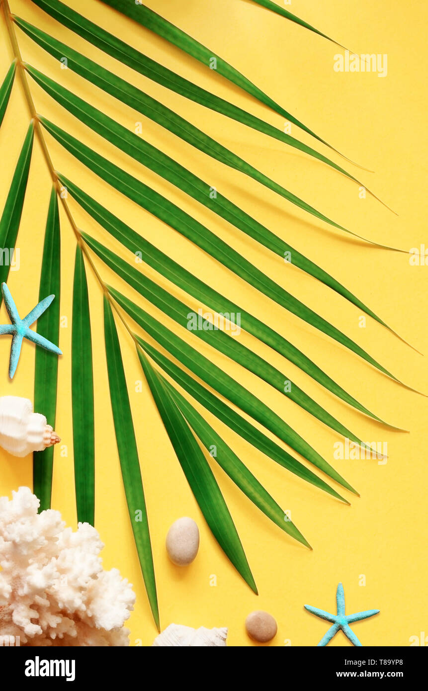 Sommer vibes. Tropische palm leaf, Muscheln und Seesterne. Flach, Ansicht von oben. Gelber Hintergrund Stockfoto