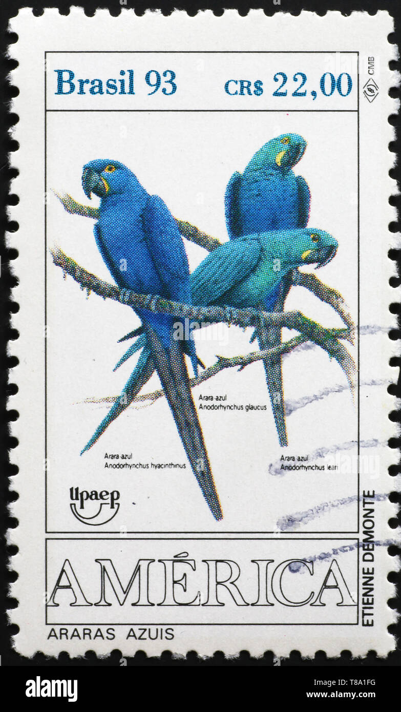 Drei Hyacint Aras auf brasilianischen Briefmarke Stockfoto