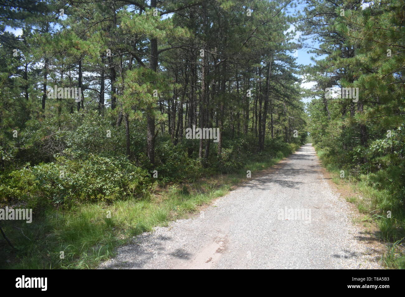 Leere Piste in einem Bereich von der Entwicklung in Westhampton Beach Park, New York geschützt Stockfoto