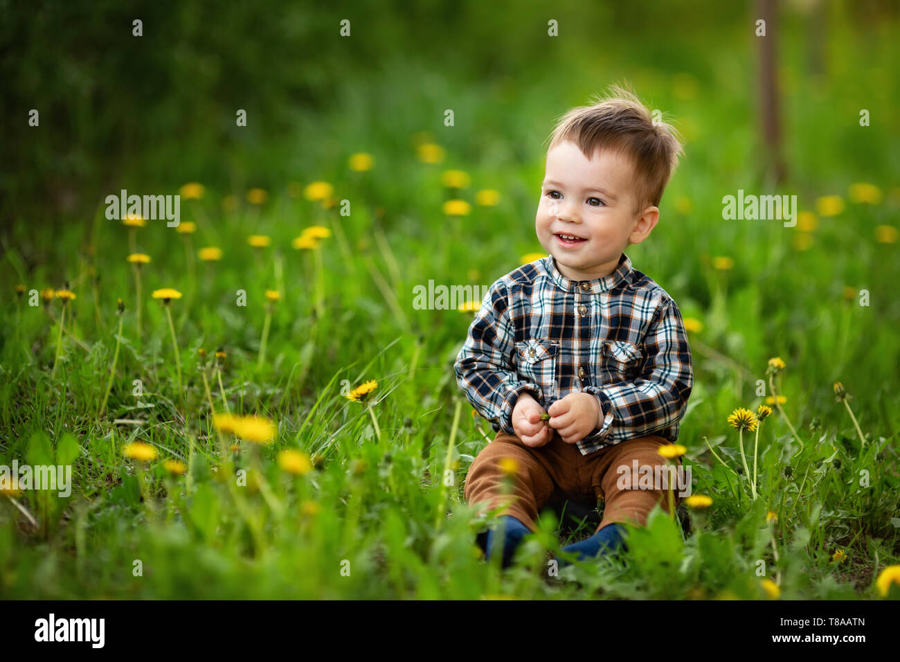 Lächelnd kleinen Jungen sitzen in der blühenden Wiese an einem Frühlingstag. Schönes Kind Portrait im Freien Stockfoto