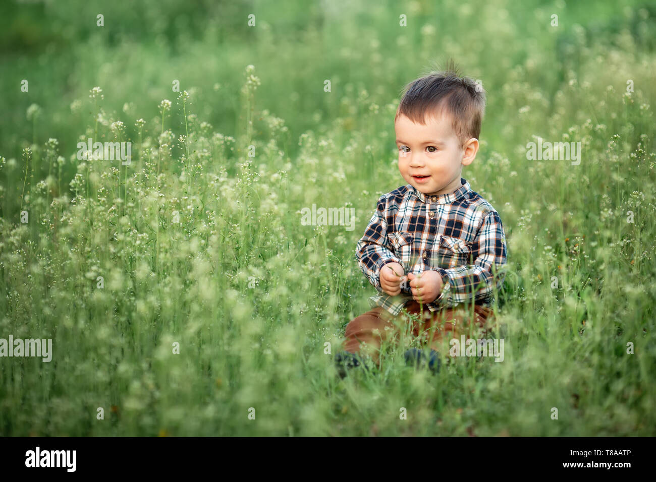 Kleinen Jungen sitzen in der blühenden Wiese an einem Frühlingstag. Schönes Kind Portrait im Freien Stockfoto