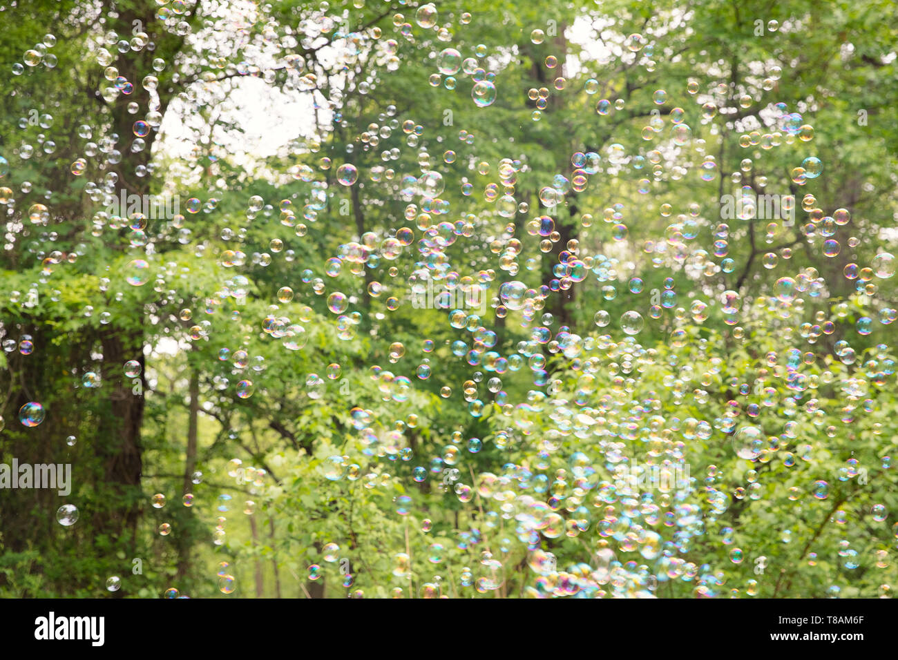 Der Regenbogen Luftblasen von Bubble blower-Image Stockfoto