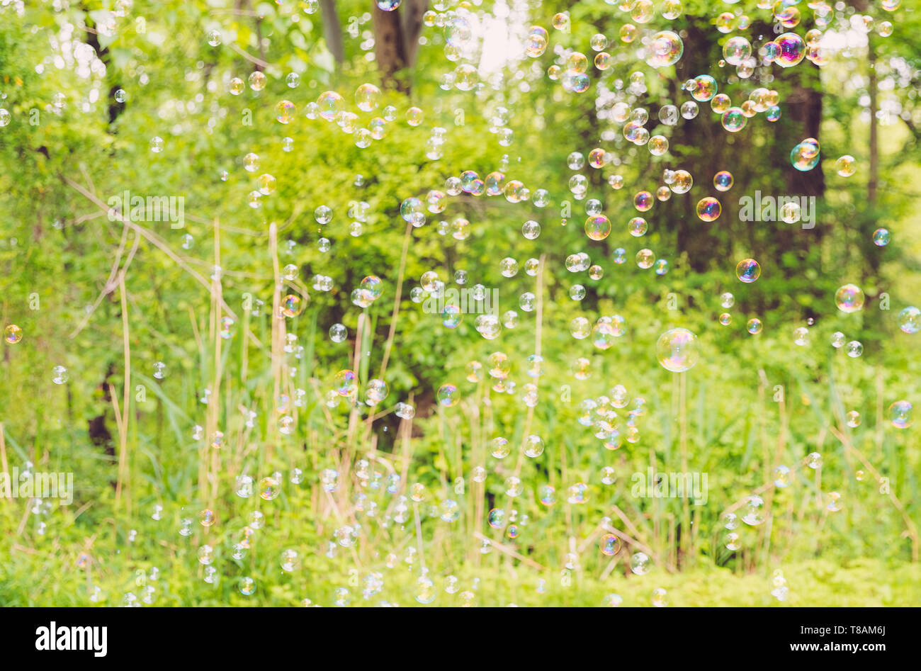 Der Regenbogen Luftblasen von Bubble blower-Image Stockfoto