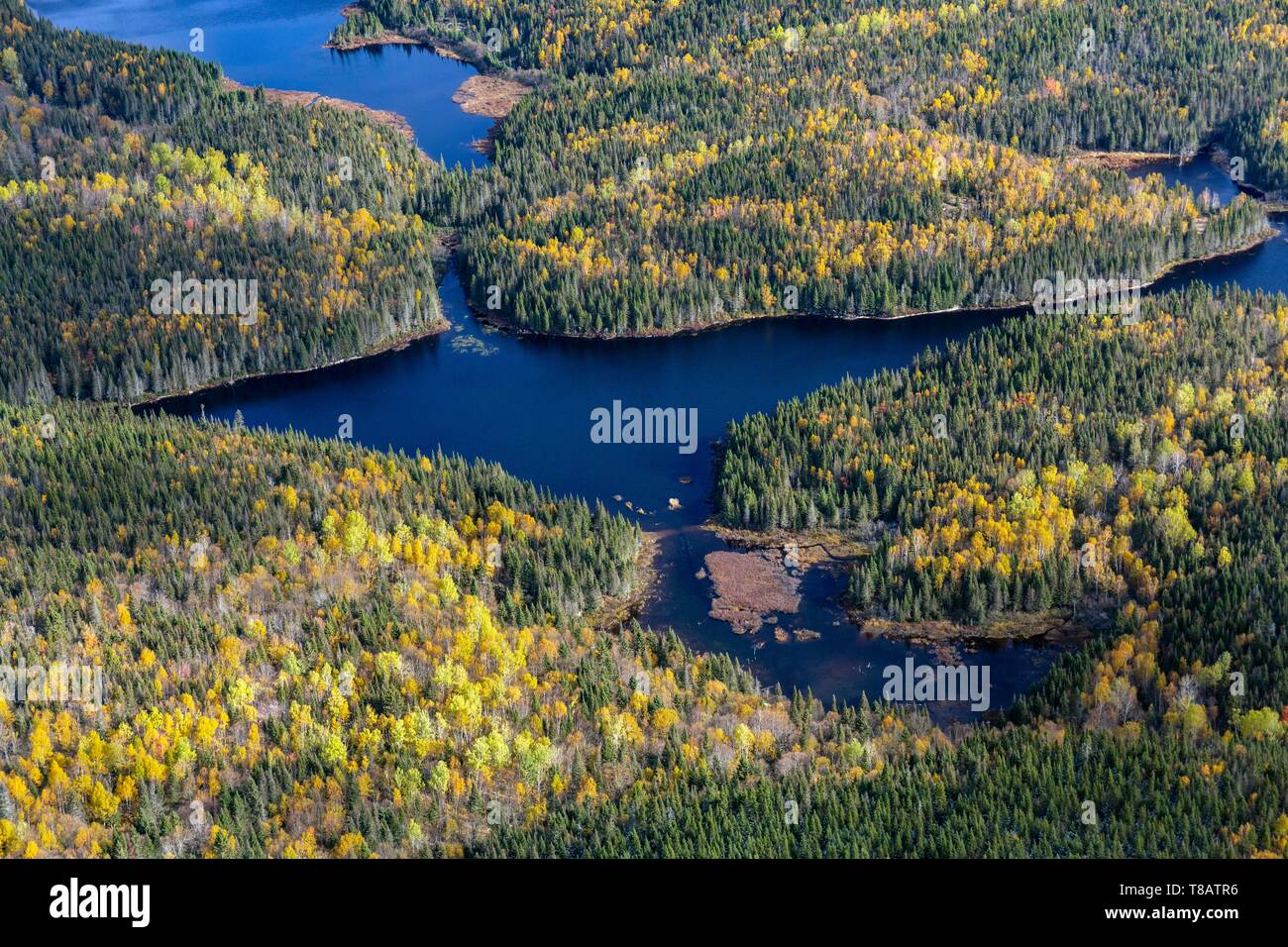 Kanada, Provinz Quebec, Charlevoix Region, Seen im Herzen des borealen Wald (Luftbild) Stockfoto