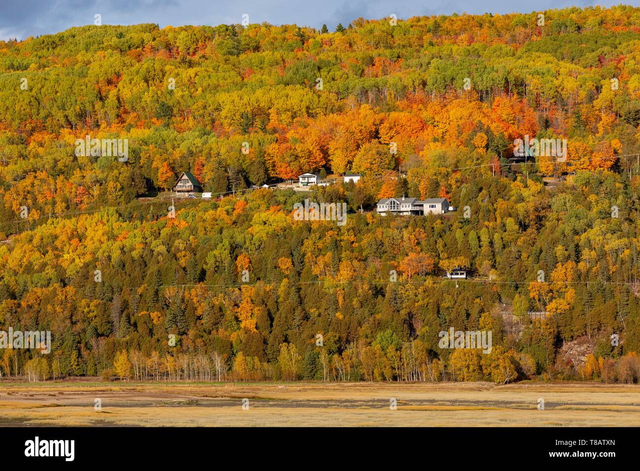 Kanada, Provinz Quebec, Charlevoix Region, Baie-Saint-Paul, der gouffre Fluss Nebenfluss des linken Ufer des St. Lawrence River bei Ebbe Stockfoto