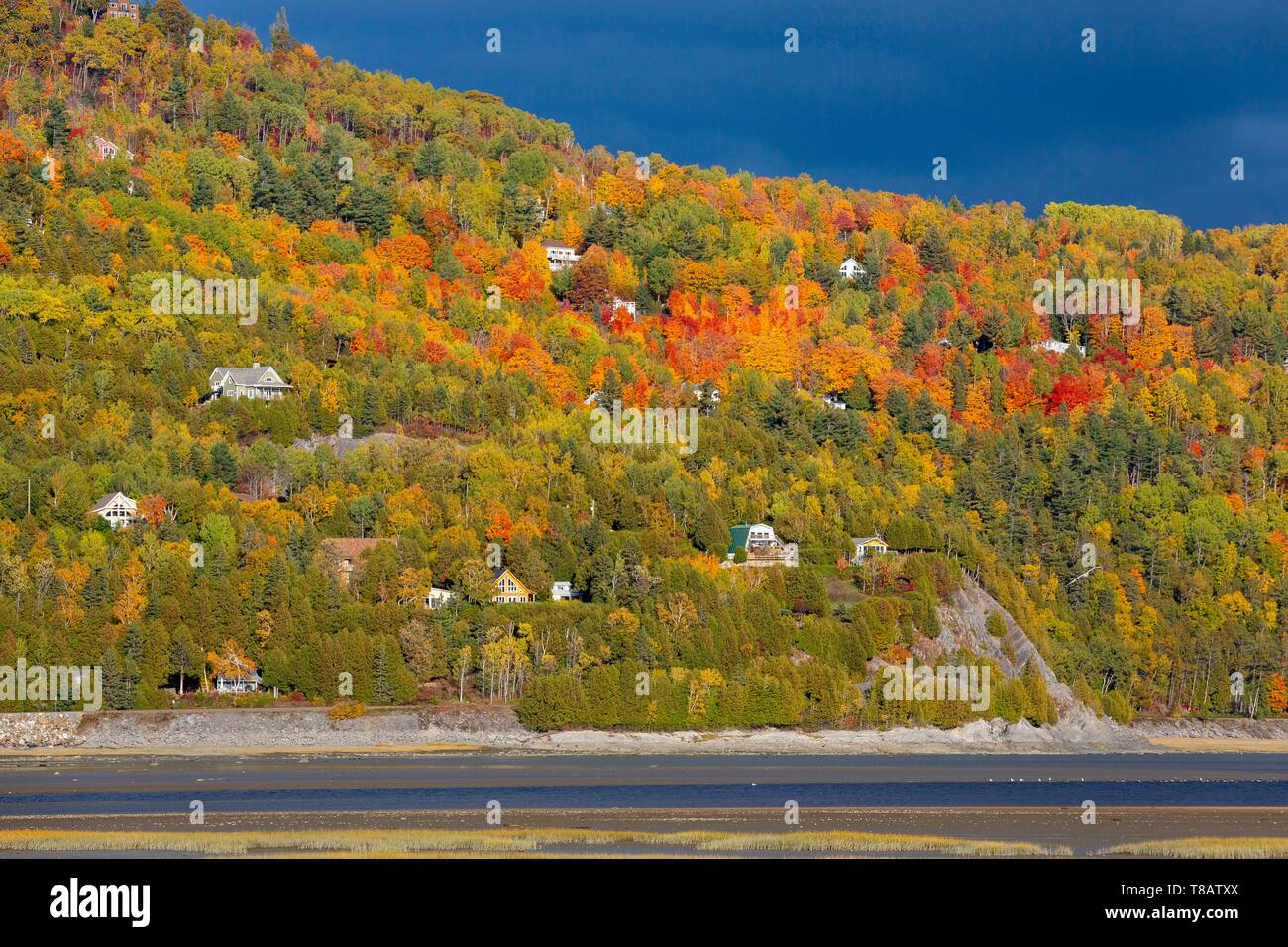 Kanada, Provinz Quebec, Charlevoix Region, Baie-Saint-Paul, der gouffre Fluss Nebenfluss des linken Ufer des St. Lawrence River Stockfoto