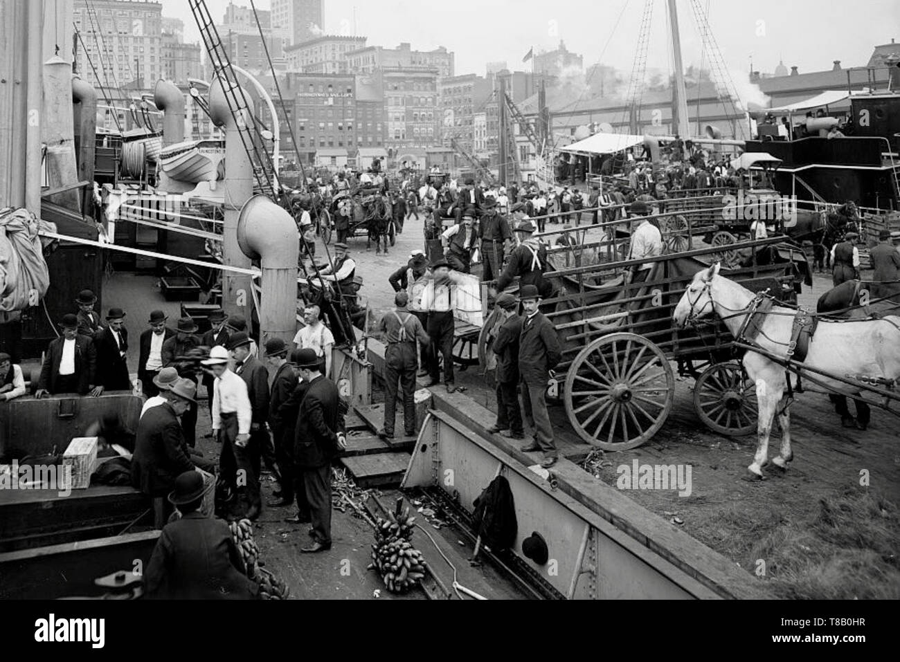 Banane Docks, New York 1890. Stockfoto