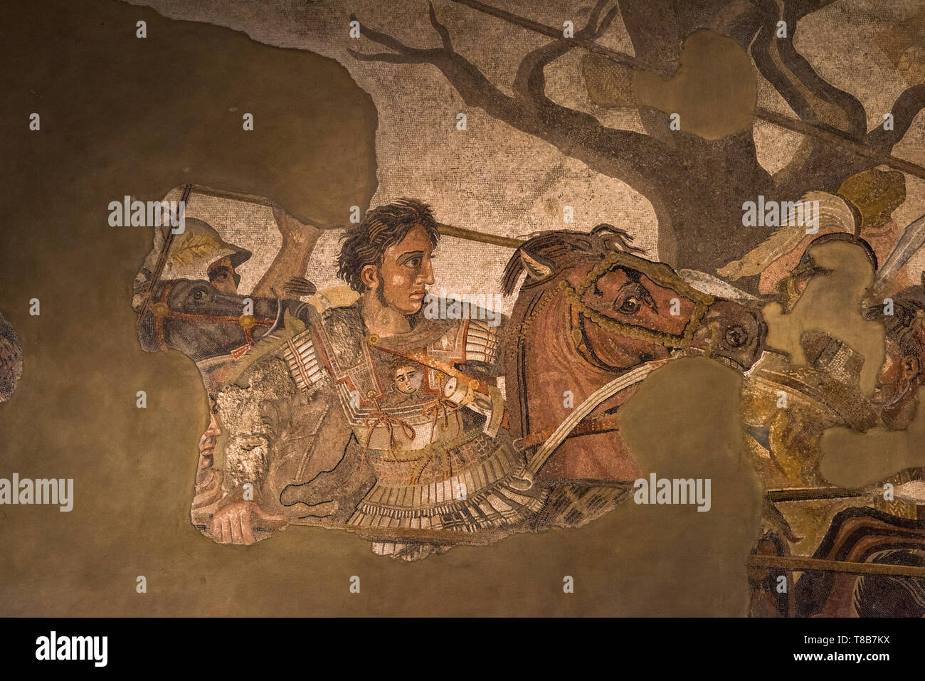 Alexander Mosaik, das Nationale Archäologische Museum, Neapel, Italien Stockfoto