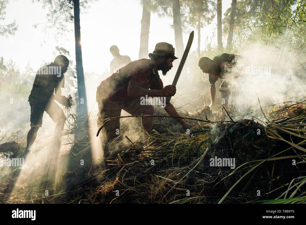 Papua-neuguinea, Enga Provinz, Enga Stamm, Wabag region, Männer Gartenarbeit Stockfoto