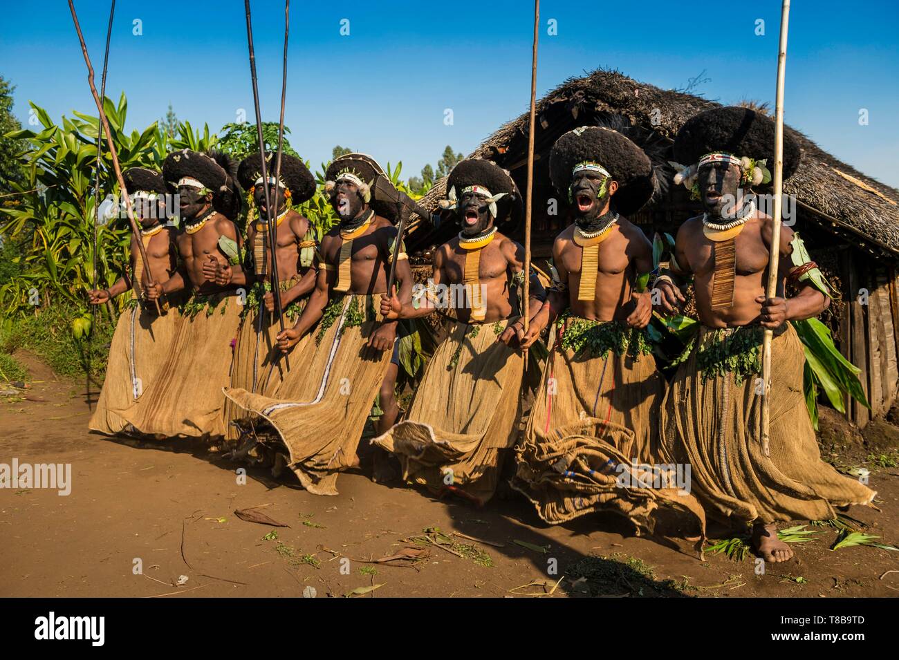 Papua-neuguinea, Enga Provinz, Enga Stamm, Wabag region, Tänzer gekleidet für eine Sing-Sing (ein traditioneller Tanz) Stockfoto