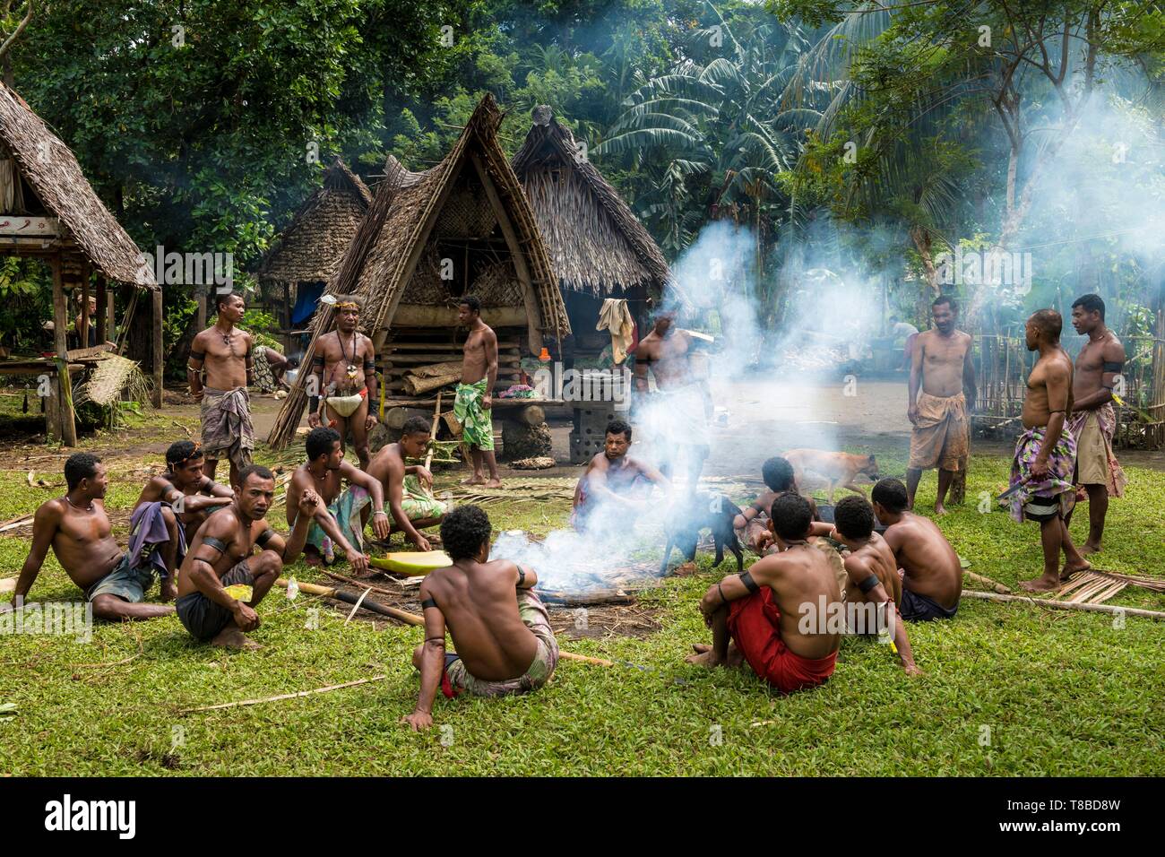 Papua New Guinea, Milne Bay Provinz, Meer, Encastreaux Trobriands Archipels, der Insel Kiriwina, Okaiboma Dorf, traditionelles Fest genannt Mumu mit einem Schwein Stockfoto