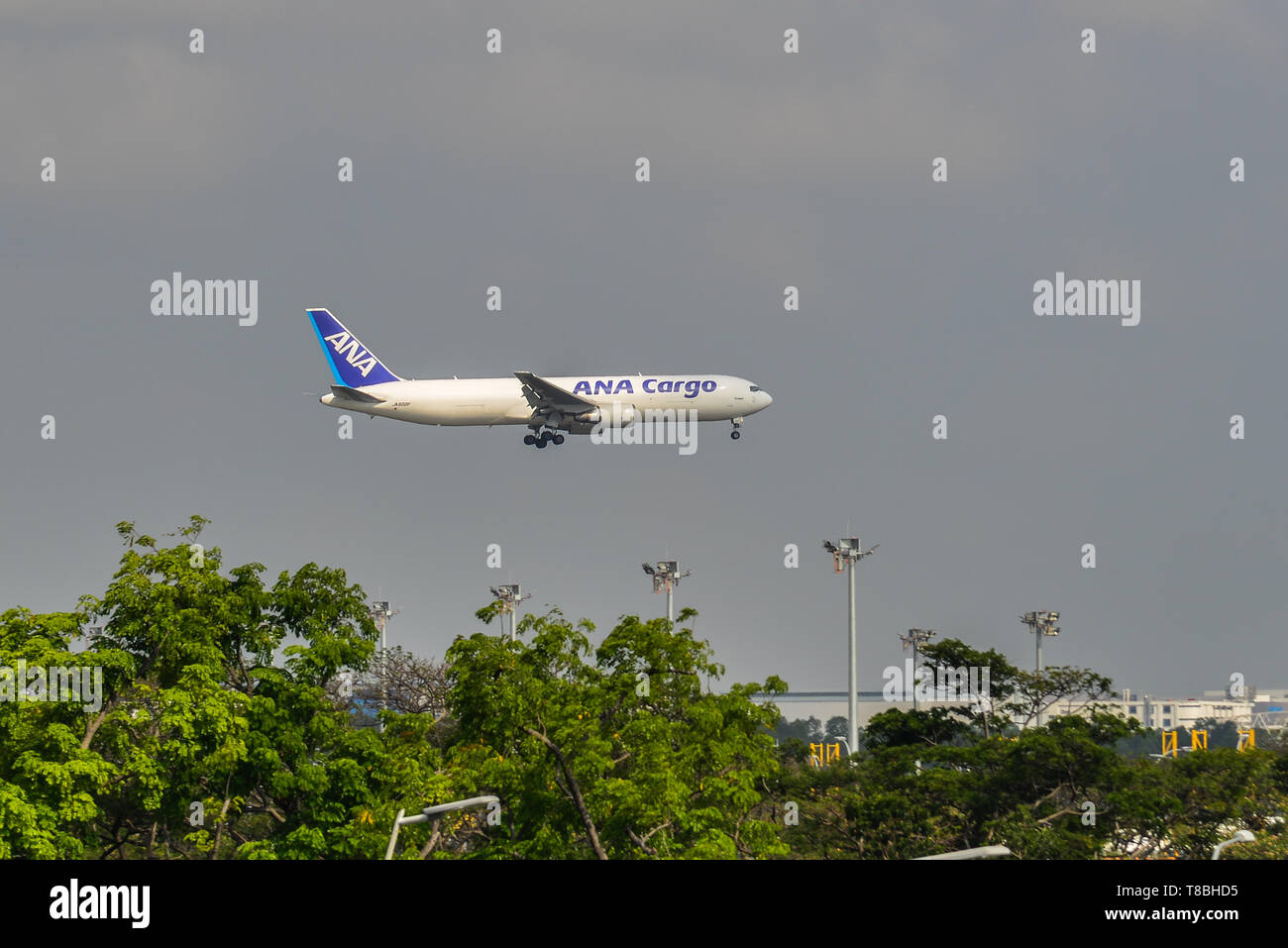 Singapur - Mar 28, 2019. JA602F All Nippon Airways (ANA) Boeing 767-300F der Landung am Flughafen Singapur Changi (SIN). Stockfoto