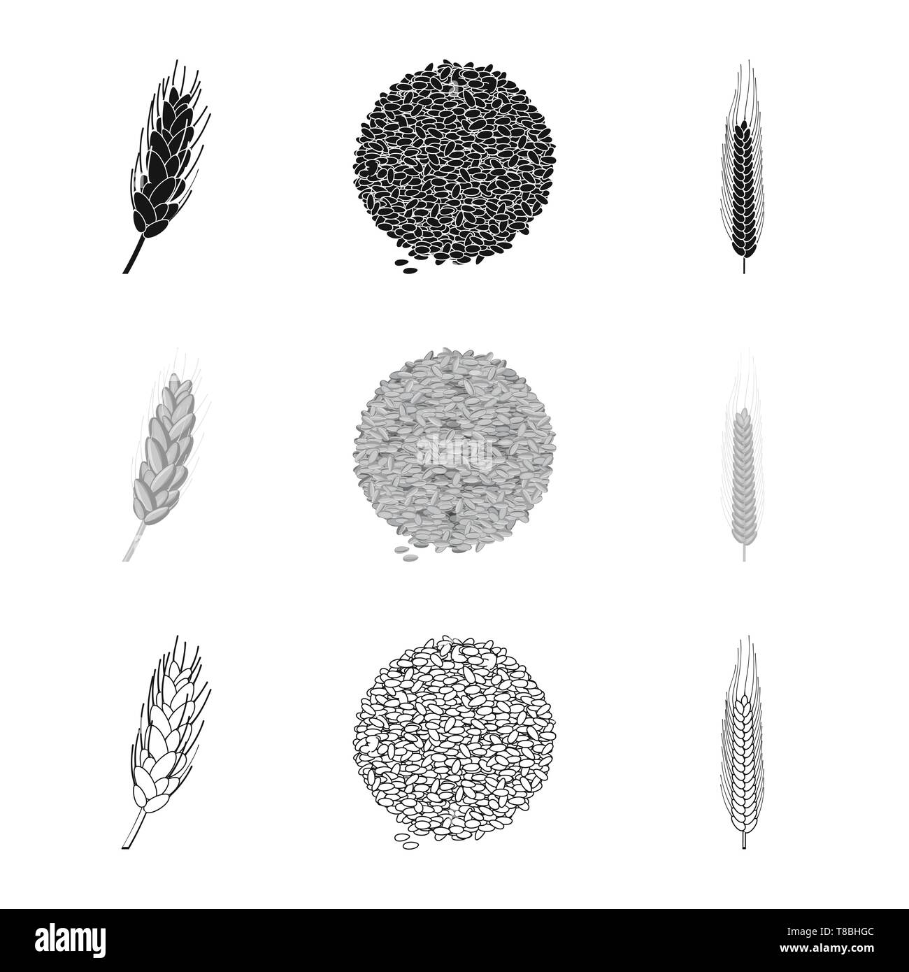 Feder, Spike, Samen, Winter, Durum, Getreide, Mehl, Brot, Saatgut, Getreide, Ohr, Gerste, Kleie, Maisfeld, golden, Stroh, Ernährung, ländliche, Wiese, Gold, Hafer, Landwirtschaft, Landwirtschaft, Roggen, Weizen, Mais, Getreide, Ernte, Bauernhof, Feld, Set, Vector, Icon, Illustration, isoliert, Sammlung, Design, Element, Grafik, Zeichen, Vektor, Vektoren, Stock Vektor