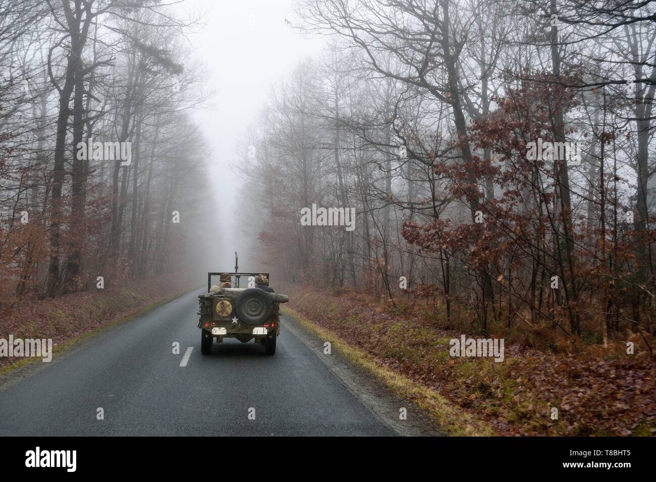 Frankreich, Eure, Chambray, Alliierte Rekonstitution Group (USA Weltkrieg 2 und der französischen Maquis historische Rekonstruktion Association), Reisen mit dem Jeep Willys Stockfoto