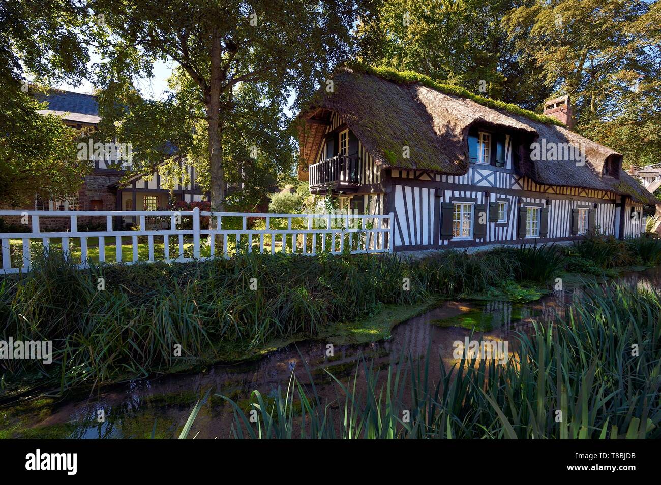 Frankreich, Seine-Maritime, Cote d'Albatre (Alabaster Küste), Pays de Caux, Veules les Roses, labelized die Schönsten Dörfer Frankreichs, strohgedeckten Haus entlang des Flusses La Veules berühmt für die kurze Länge seines Kurses (1.100 m) Stockfoto