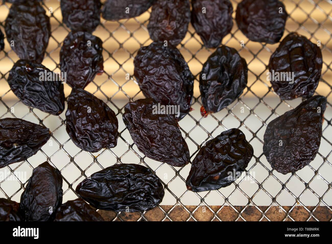 Frankreich, Lot, Belfort de Quercy, Ort La Gaubille, Verines & Freres, Produzent von Agen Pflaumen, Nahaufnahme der Pflaumen nach dem Trocknen Stockfoto