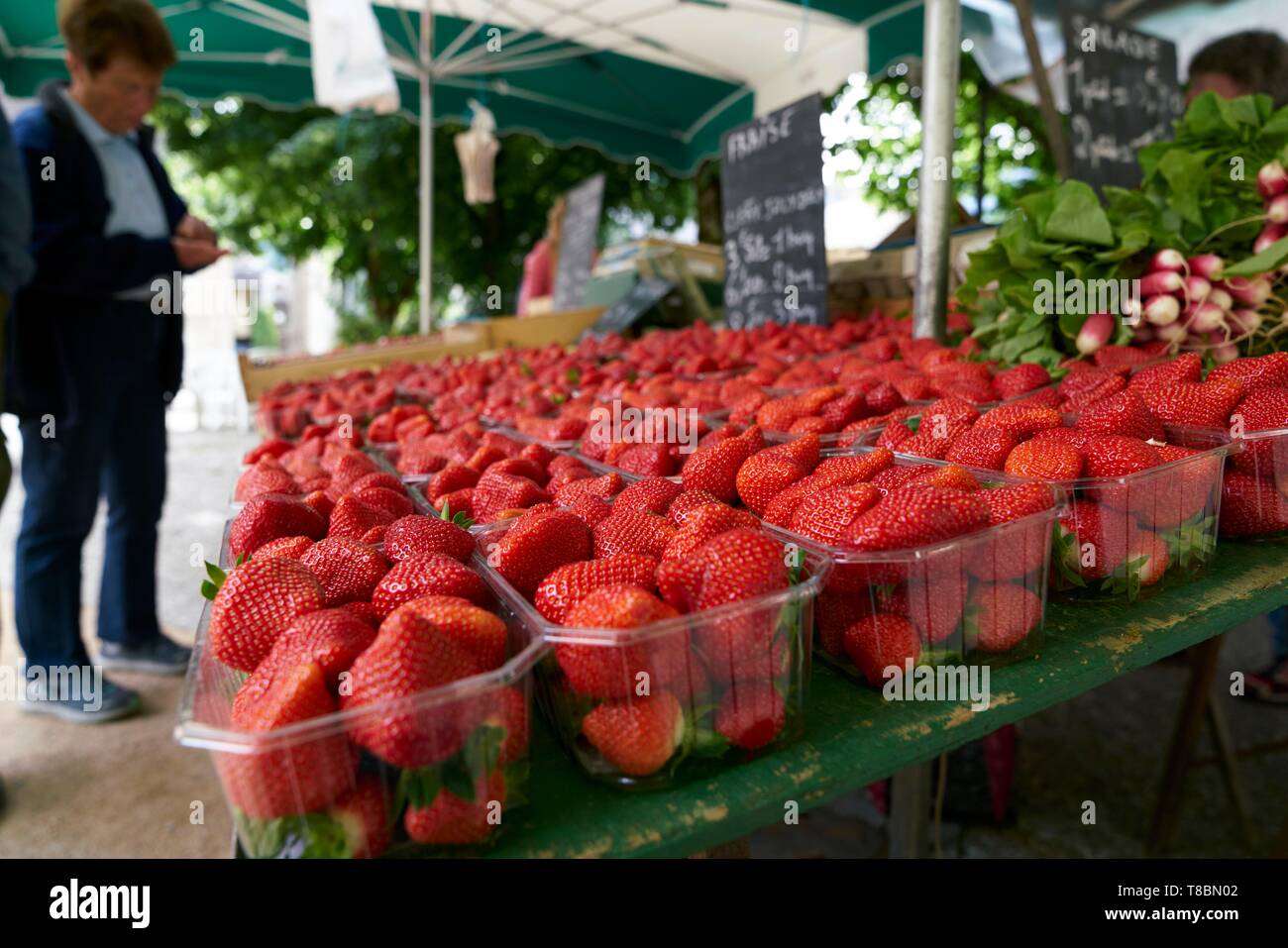 Frankreich, Haute Garonne Bagneres de Luchon, Marktplatz Gabriel Rouy, Korb mit Erdbeeren Stockfoto