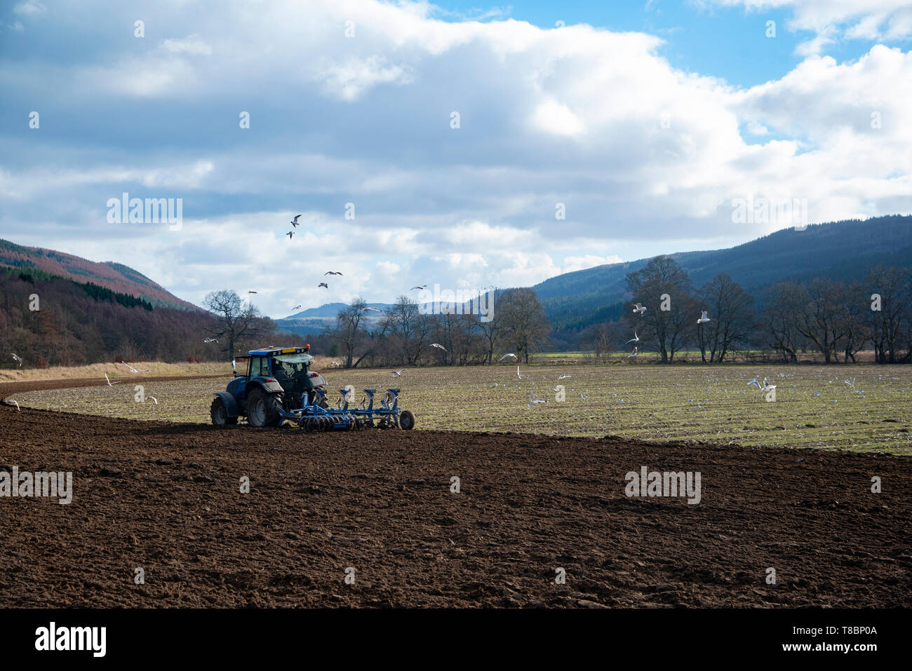 Bauer im Traktor, Ackerland, Perthshire, Schottland, Großbritannien Stockfoto