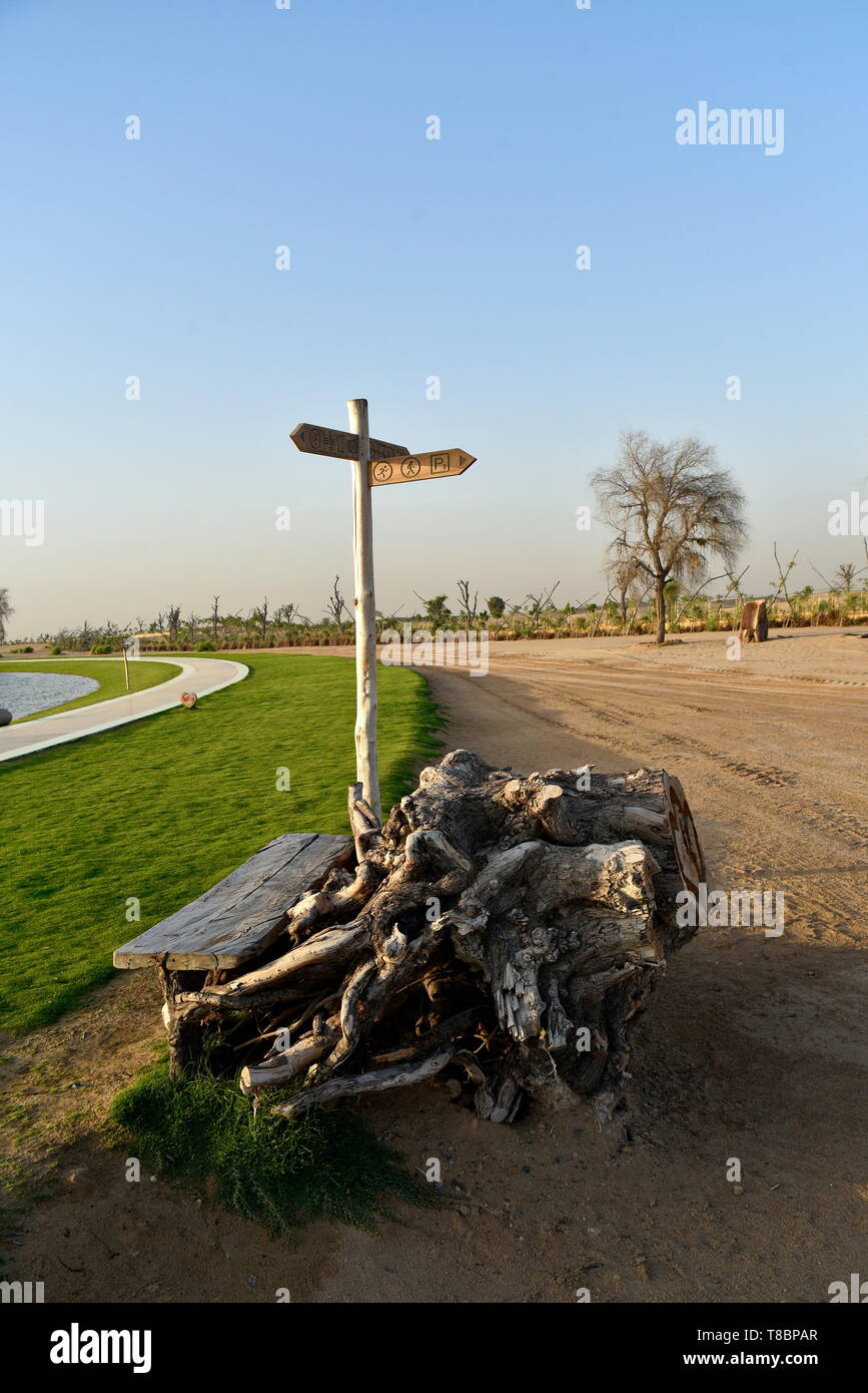 Liebe See bei Al Qudra, See an der Al Qudra Wüste, Dubai, Vereinigte Arabische Emirate Stockfoto