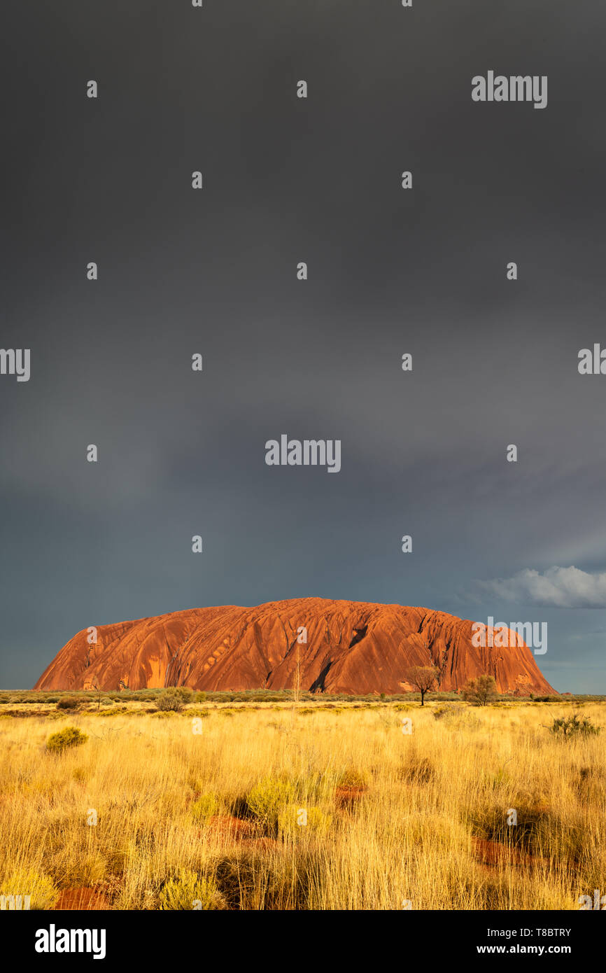 Uluru ist ein Symbol der australischen Zentralbank Wüste. Stockfoto