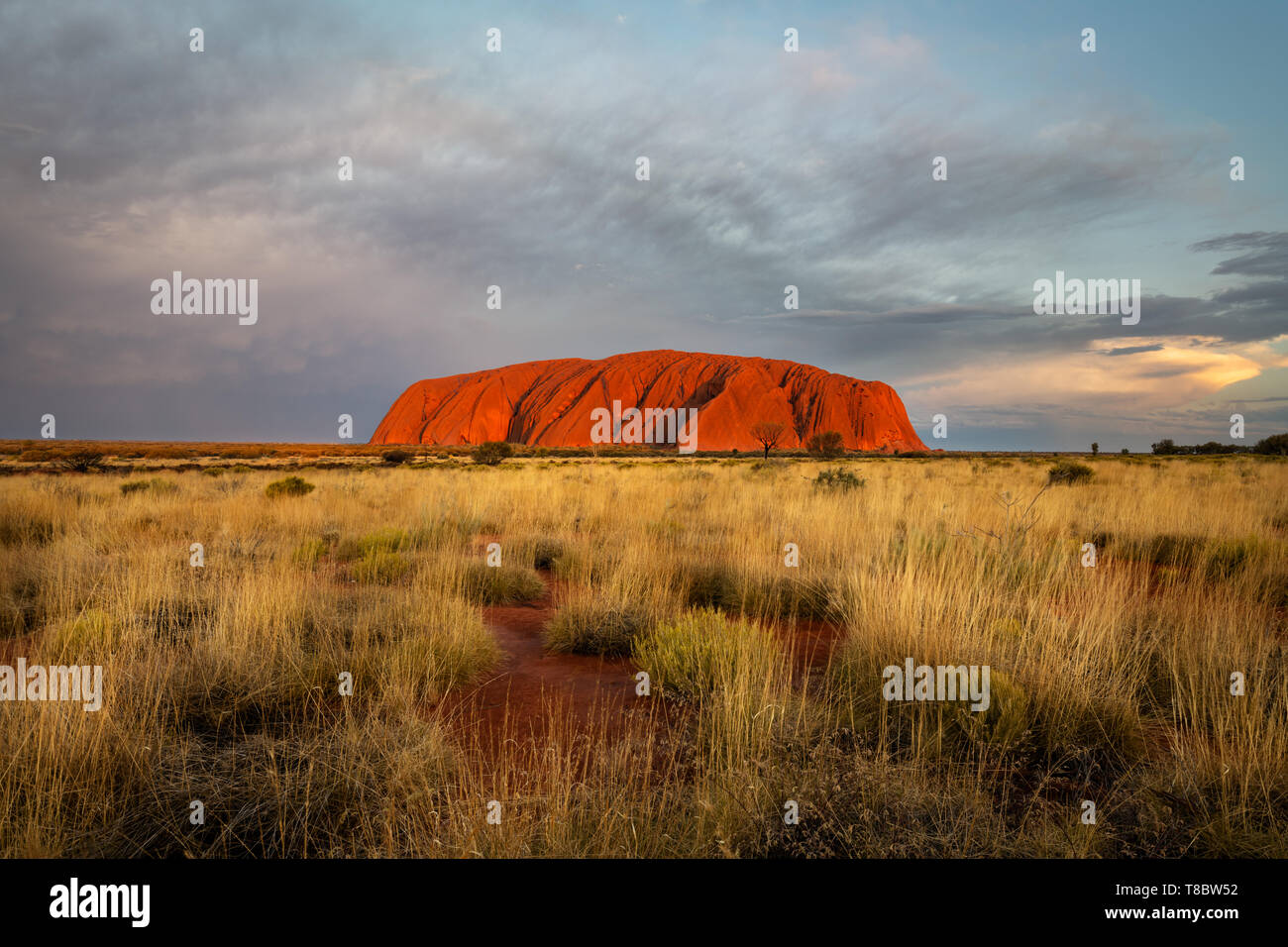 Abendstimmung auf der erstaunlichen Uluru. Stockfoto