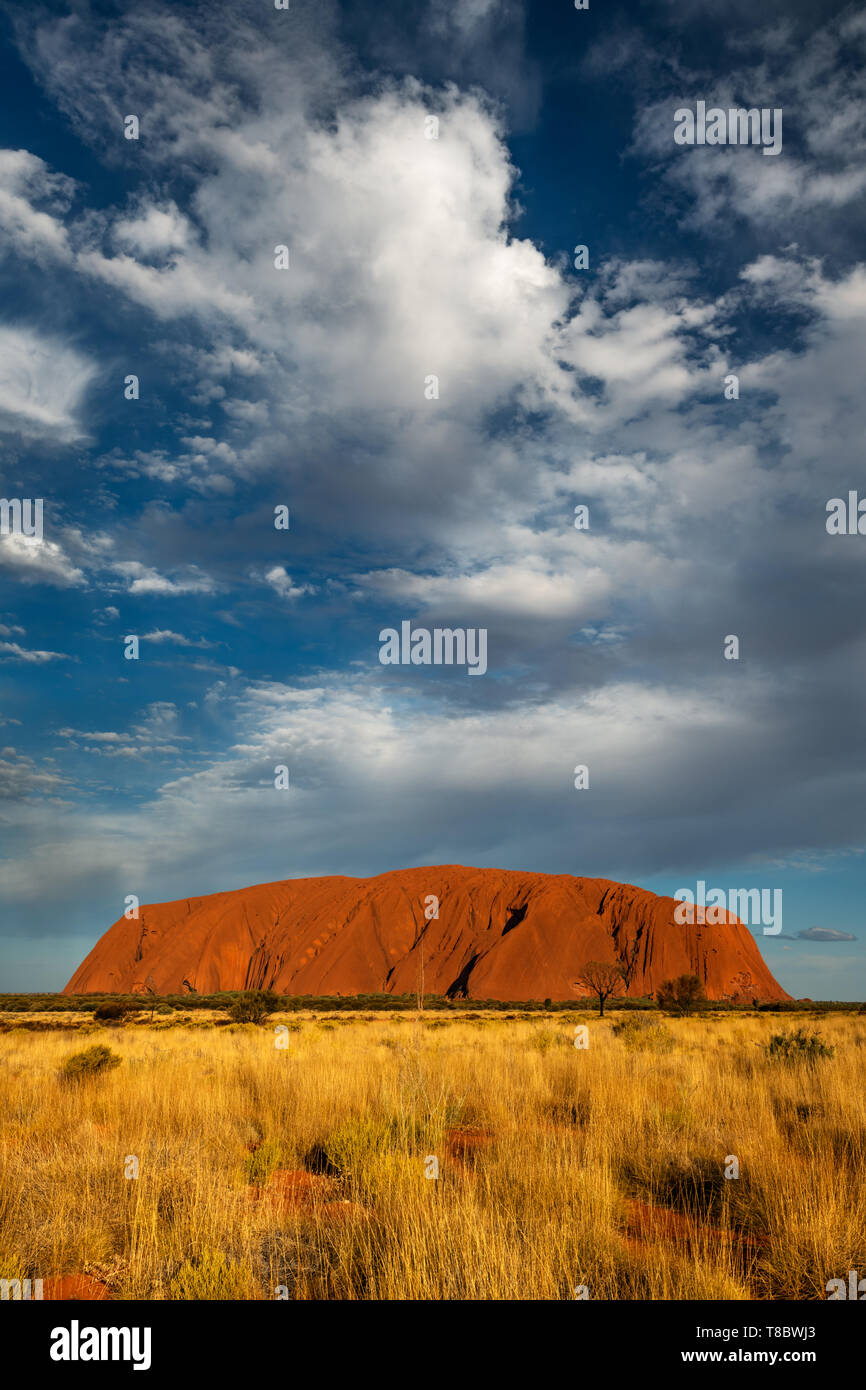 Uluru ist ein Symbol der australischen Zentralbank Wüste. Stockfoto