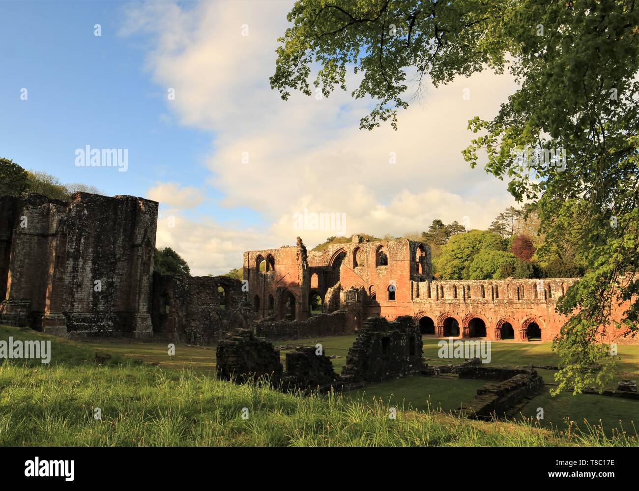 Barrow-In-Furness, Cumbria, Großbritannien. 6. Mai 2019. UK Wetter. Am späten Abend Sonnenschein von Furness Abbey Cumbria. Credit: greenburn/Alamy Leben Nachrichten. Stockfoto