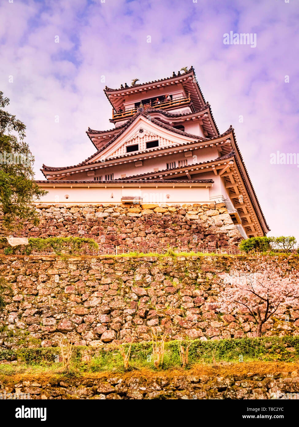 Der Bergfried von Schloss Kochi, Japan, mit Cherry Blossom. Stockfoto