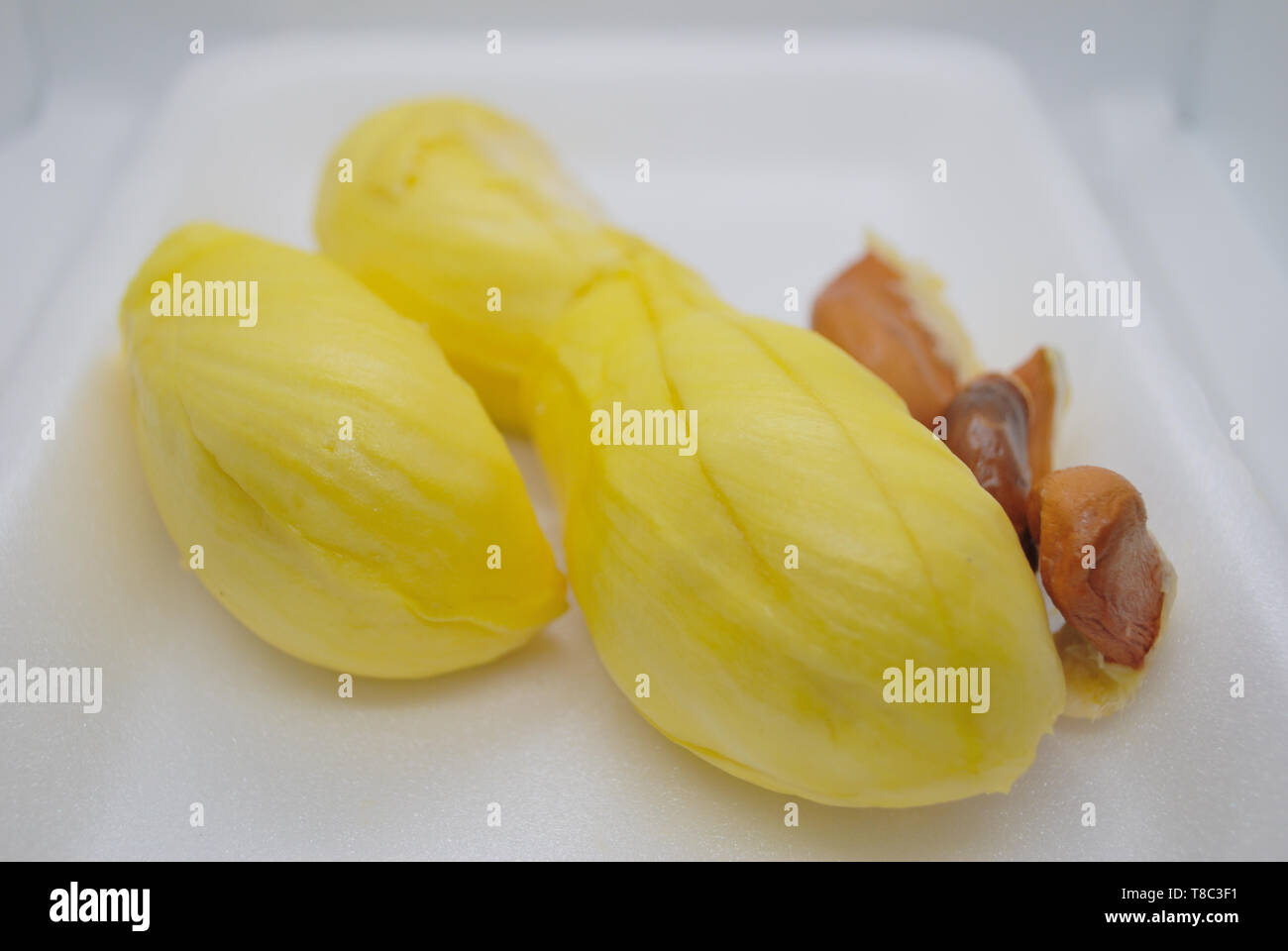 Gelbe durian auf weißem Hintergrund Reif Stockfoto