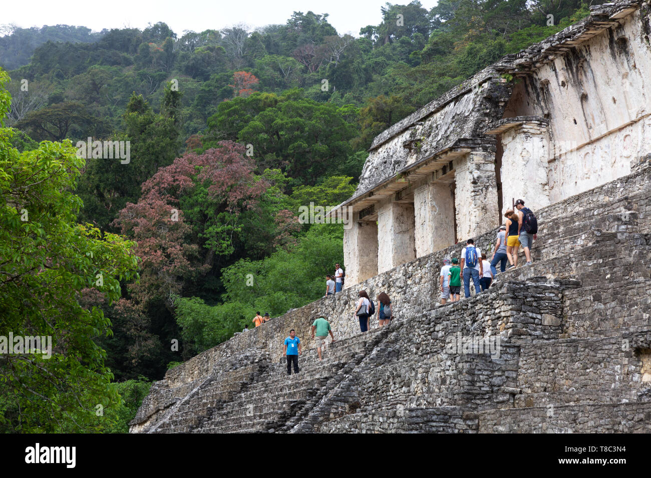 Palenque Mexiko Reisen - Touristen klettern auf der Maya Ruinen des Palastes, Palenque, Yucatan, Mexiko Mittelamerika Stockfoto
