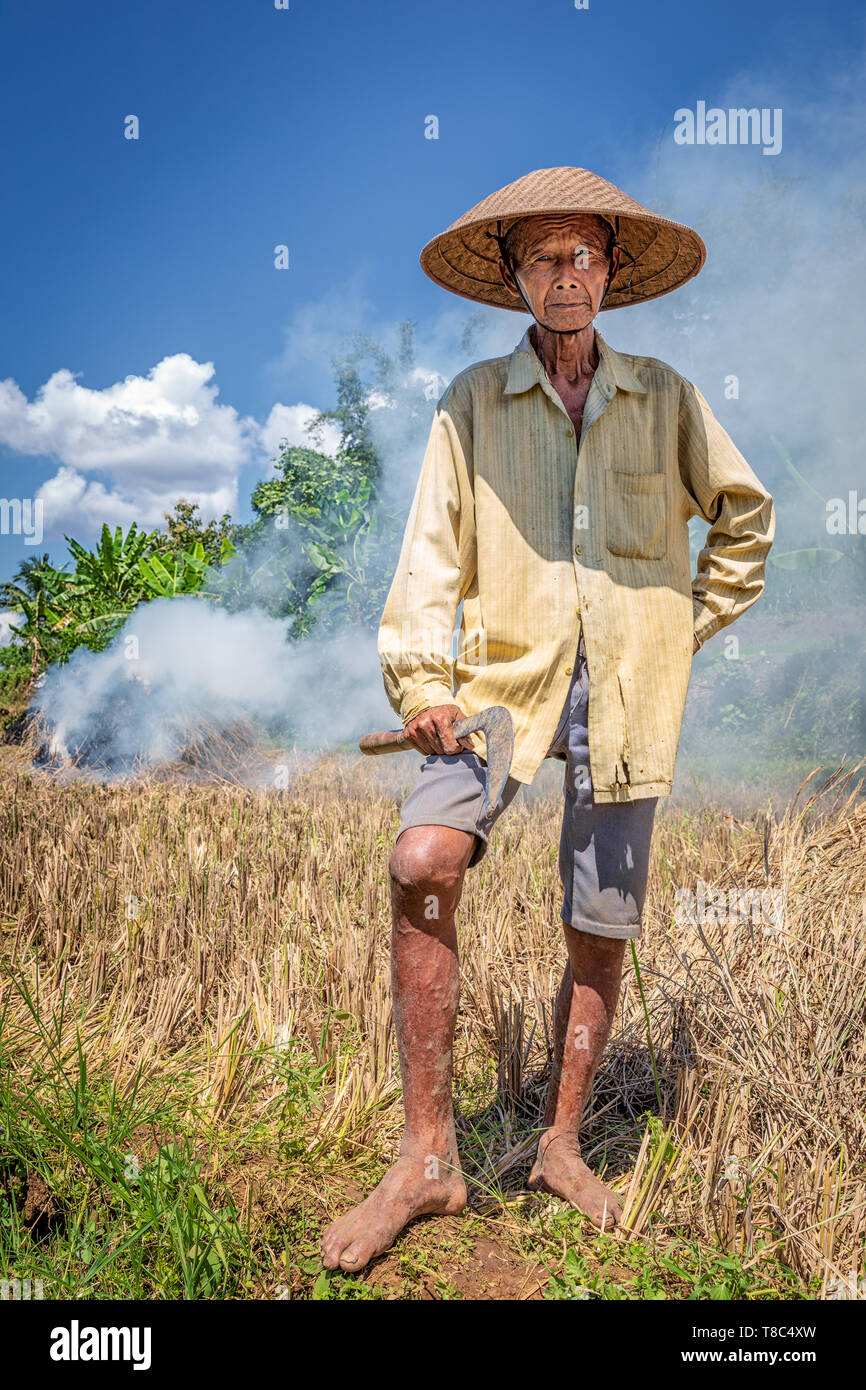 Porträt einer indonesischen Reisbauern, Zentraljava, Indonesien Stockfoto