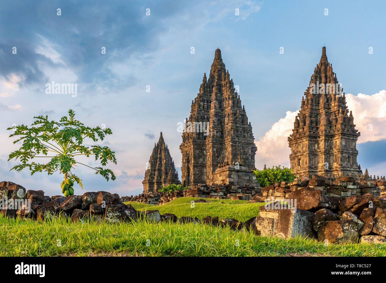 Prambanan oder Rara Jonggrang, Hindu Tempel, der Region Yogyakarta, Java, Indonesien Stockfoto