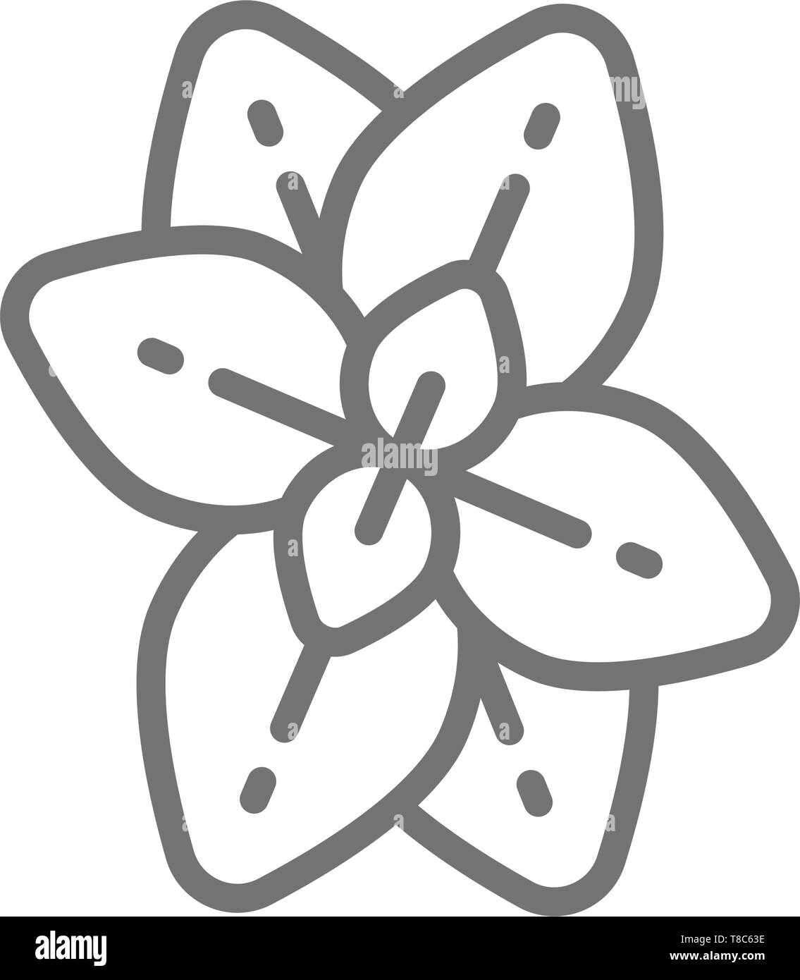 Oregano, Minze, Basilikum Symbol Leitung. Auf weissem Hintergrund Stock Vektor