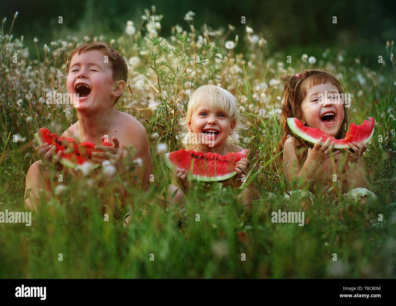 Радость похожа на. Дети смеются. Лето счастье. Смех детей и семью. Дети смеются в детском саду.