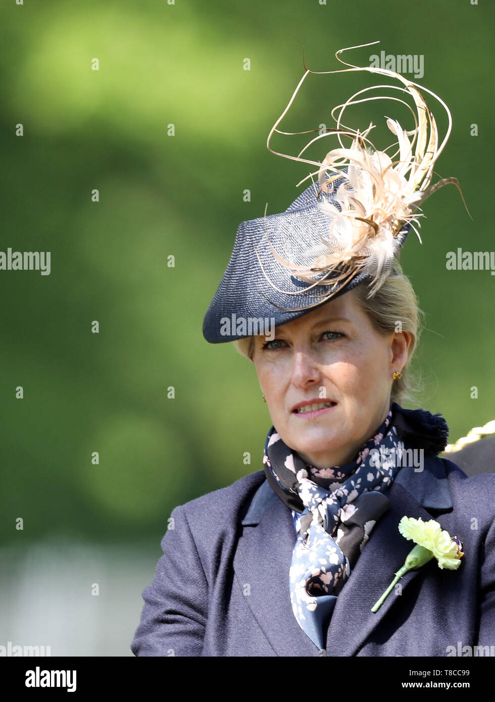 Die Gräfin von Wessex nimmt Teil in der Champagne Laurent-Perrier Treffen der britischen Fahren Gesellschaft während der Royal Windsor Horse Show in Windsor, Berkshire. Stockfoto