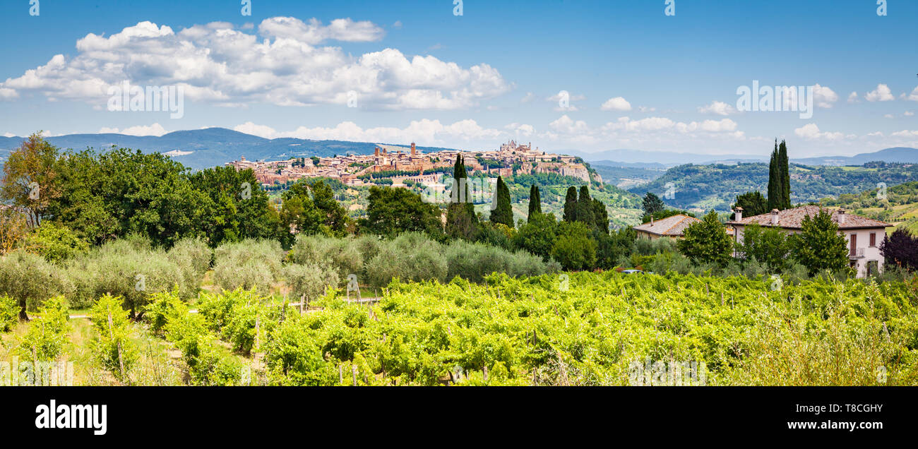 Schöne Aussicht malerische Toskana Landschaft mit der Altstadt von Orvieto im Hintergrund an einem sonnigen Tag, Umbrien, Italien Stockfoto