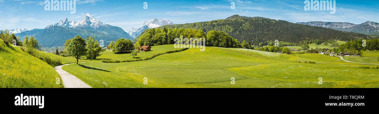 Im Sommer idyllische Landschaft in den Alpen mit frischen grünen Wiesen und schneebedeckten Gipfeln im Hintergrund begrenzt, Nationalpark Berchtesgadener Stockfoto