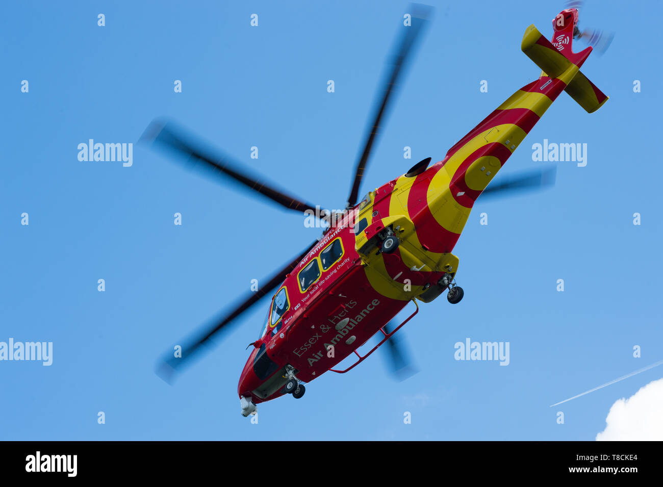 Eine Essex & Herts Air Ambulance helicopter Landung in Hertford, Großbritannien. Der Hubschrauber landete in Perrett Gärten. Stockfoto