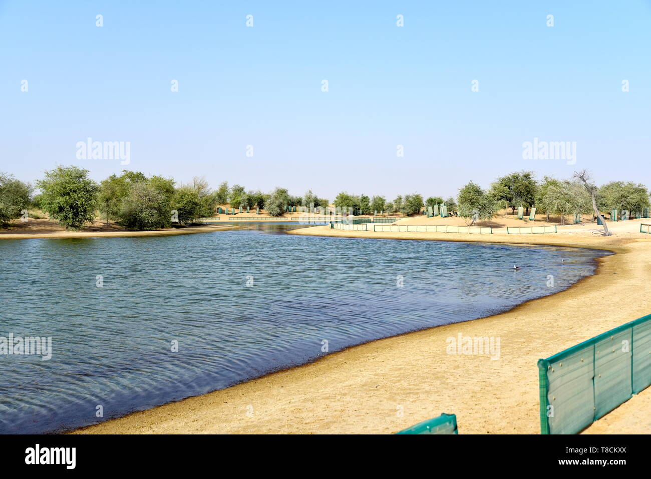 Landschaft von Al qudra Seen am Tag, Dubai, Vereinigte Arabische Emirate Stockfoto