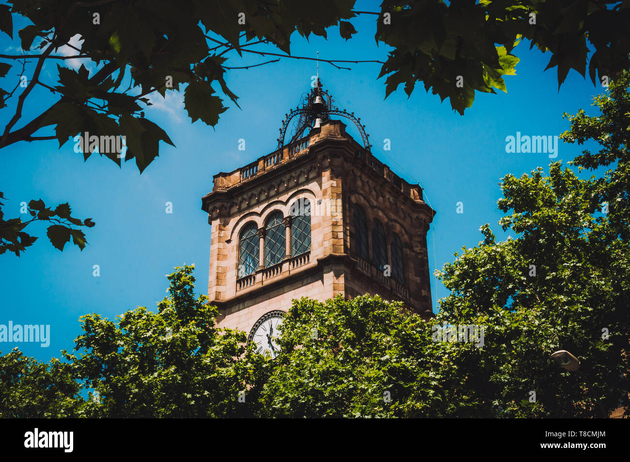 Clock Tower von der Universität Barcelona in Spanien durch das Laub Stockfoto